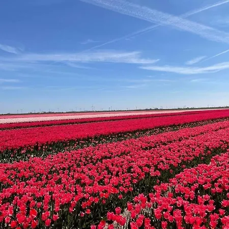 Neu! Zijper 24 Casa de Férias *