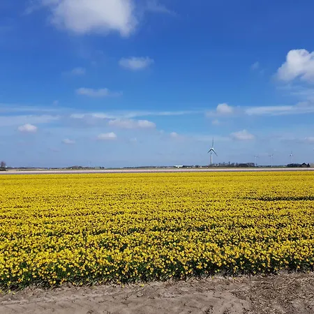 Casa de Férias Neu! Zijper 24